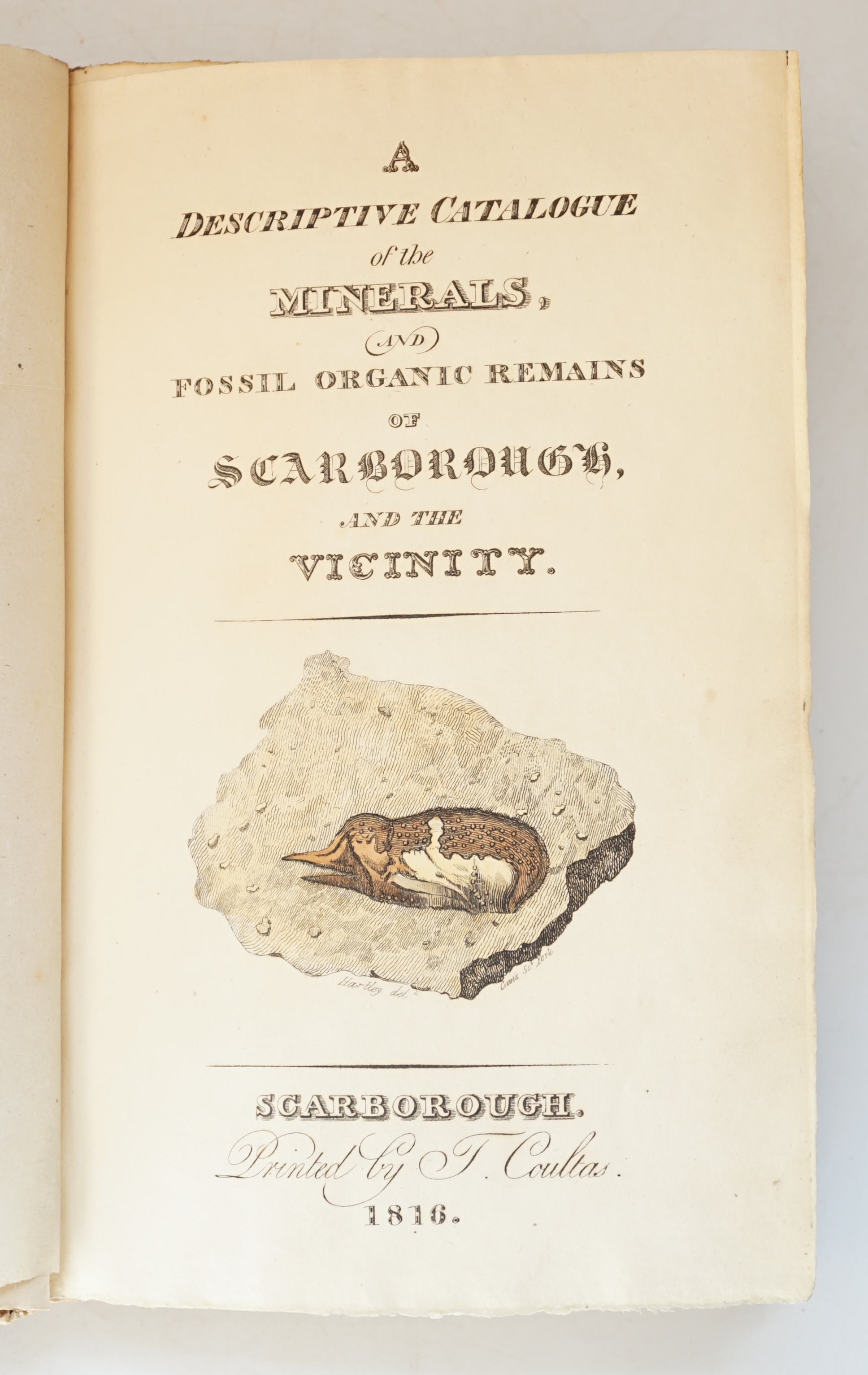[Kendall, Frederick]. A Descriptive Catalogue of the Minerals, and Fossil Organic Remains of Scarborough and the Vicinity, including the line of Coast from Hornsea to Mulgrave, and Extending into the Interior as far as M